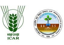ICAR